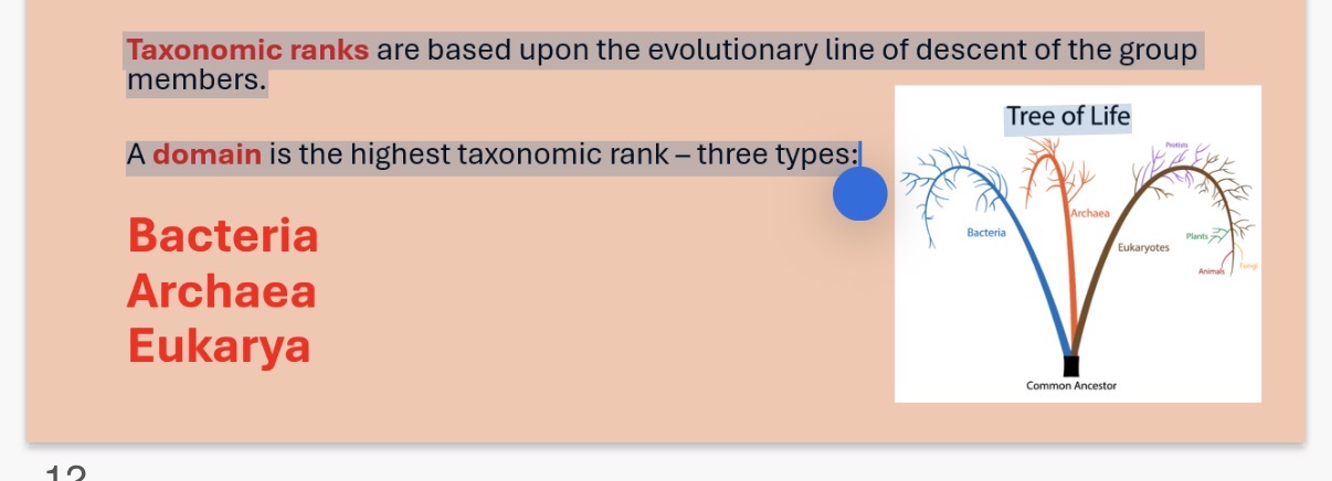 <p><strong>Taxonomy</strong></p><ol><li><p>What is taxonomy?</p></li></ol><p>(•Naming organisms</p><p>• Organising them into groups based on their similarities )</p><ol start="2"><li><p>What is a taxon?</p></li><li><p>Taxonomic ranks?</p><p>A …4? Is the highest taxonomic rank</p><ol start="5"><li><p>The 3 types of domains are?</p></li></ol></li></ol><p></p>