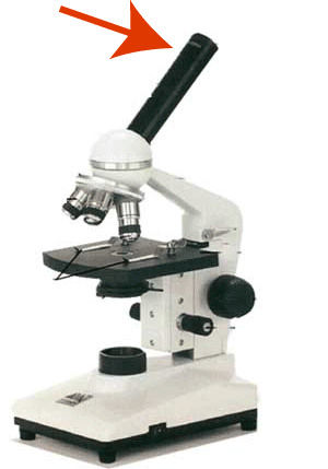 <p>What part of the Microscope is this? </p>