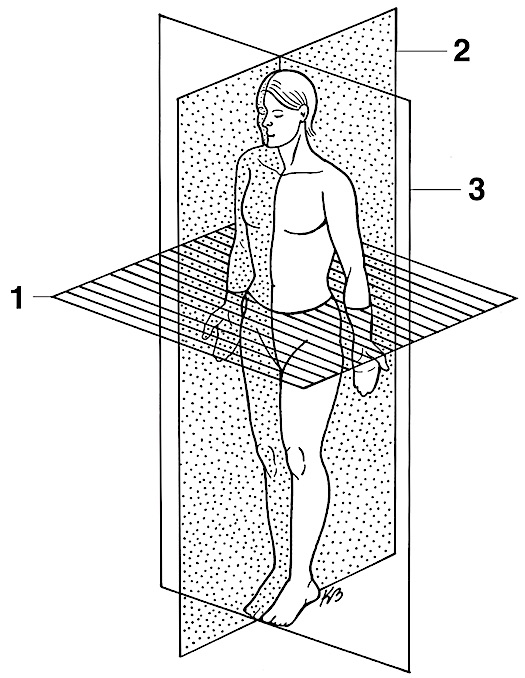 <p>What is number 3 pointing to</p>