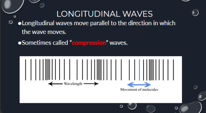 <p>●Longitudinal waves move parallel to the direction in which the wave moves.</p><p>●Sometimes called “compression” waves </p>