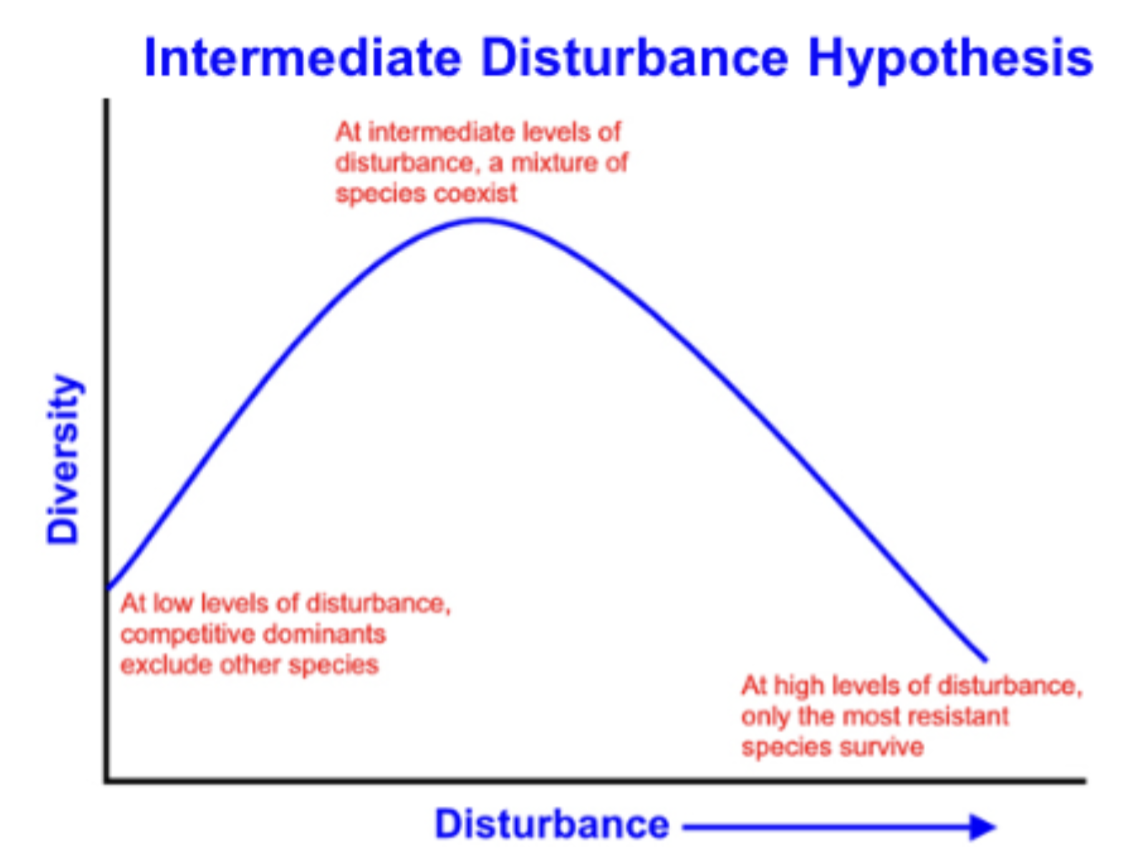 <p>CS1: Temperate trees can ___ replace boreal species? <span>What is disturbance-mediated succession? And how do they work together? </span></p>