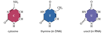 <p>What Group are these in?</p>