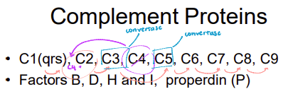 <p>Complement proteins exist in the serum as inactive enzymes called ——-. When activated, ——- cleave the first complement proteins, triggering a cascade of further complement activation and amplification. This leads to the formation of the ——- ——- ——- (MAC), which can destroy target cells, and opsonization, which tags foreign objects and enhances their phagocytosis by macrophages.</p>