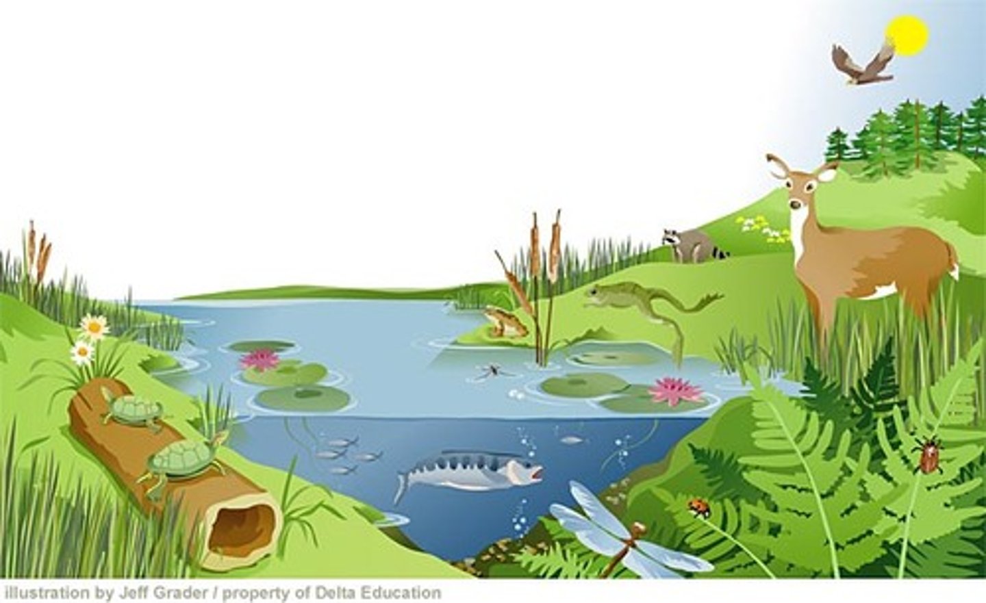 <p>A community of living organisms and their non-living environment interacting as a system.</p>