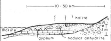 <p>supratidal marine-marginal setting, subaerial evaporites, halite only as crust, thin progradation wedge geometry</p>