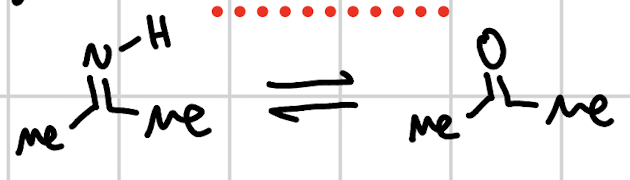 <p>hydrolysis of immines</p>