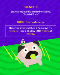 <p>wildly excited or active</p>