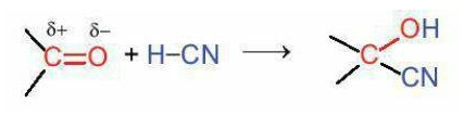 <p>H-CN tấn công vào >C=O như thế nào?</p>
