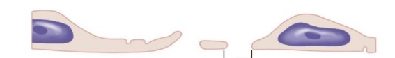 <p>what is this a picture of?</p>