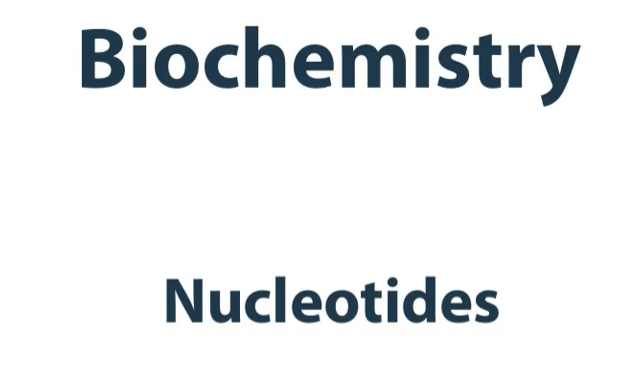 <p><strong>Synthesis</strong> and <strong>degradation</strong> of <strong>nucleotides. </strong></p>