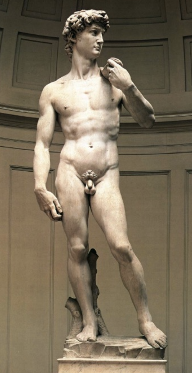 <p>David</p>