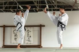 <p><span style="background-color: transparent;">het karate</span></p>