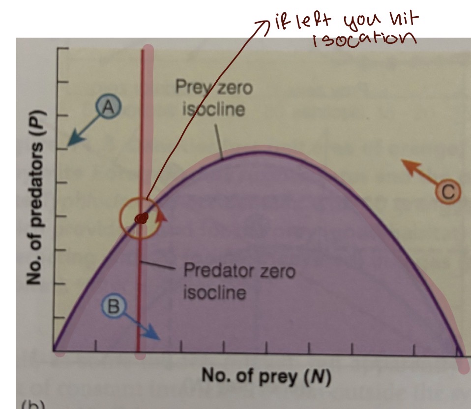 <p>Seen in discrete generations, this means that the interactions are unstable</p>