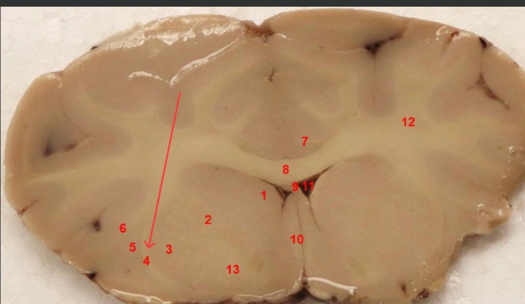 <p>what area is this </p>
