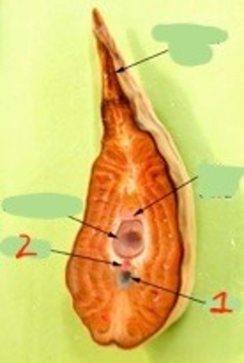 <p>what is 2?</p>