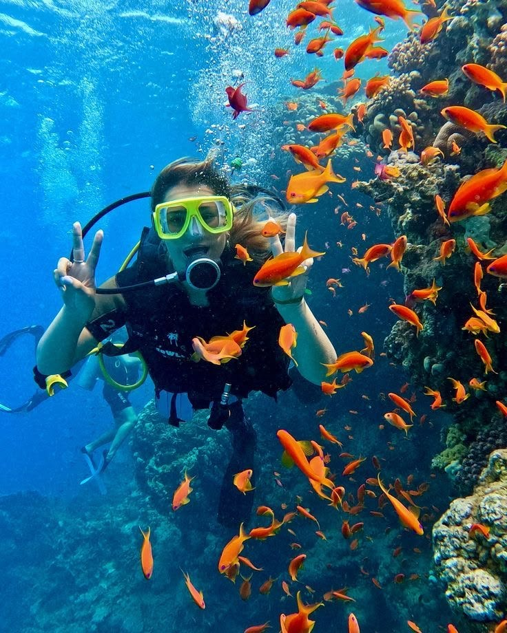 <p>swimming underwater using equipment that supplies air for breathing. We went ___ to see the coral reef.</p>