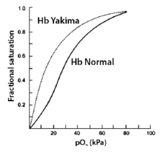 <p><span>The Hb Yakima variation is caused by the mutation D99H, which results in a shift in oxygen binding as shown in the graph. What effect does the D99H variation have on the [T] / [R] ratio of Hb Yakima protein conformation compared to Hb Normal and how does D99H alter oxygen affinity?&nbsp;</span></p>