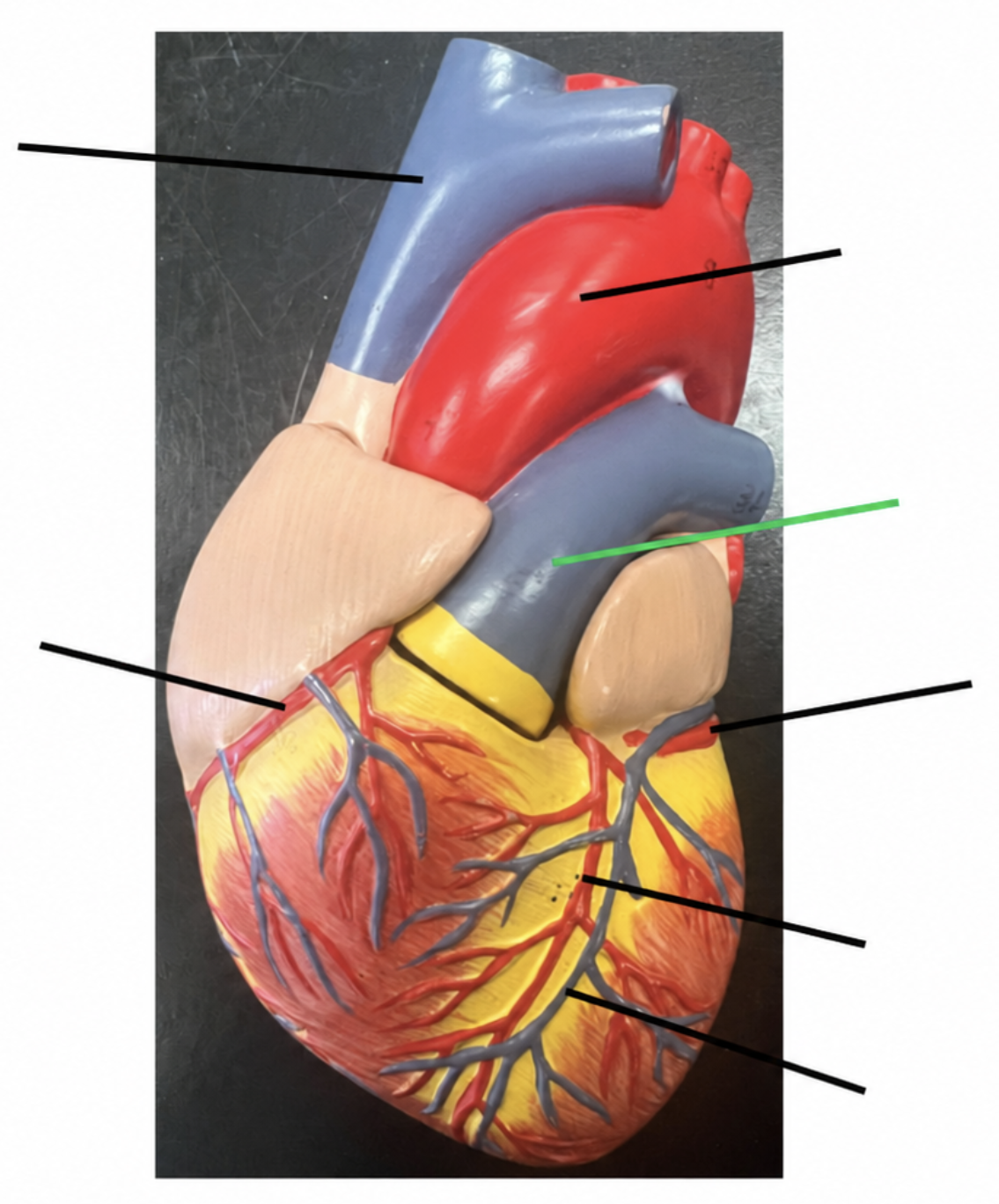 term image