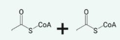 <p>name the structure</p>