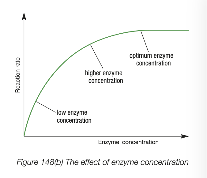 <ul><li><p>same logic as substrate </p></li><li><p>difference is that substrate is the limiting factor</p></li></ul><p></p>