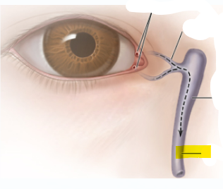 <p>What is the highlighted area</p>