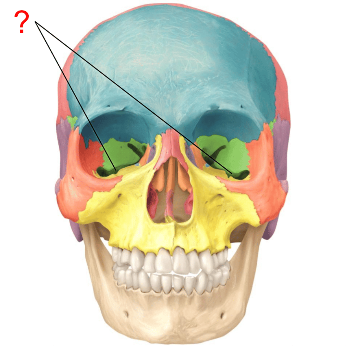 <p>What is this opening?</p>