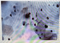 <p>Identity?</p>