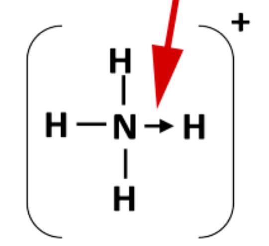 <p>What is a co-ordinate/dative bond?</p>