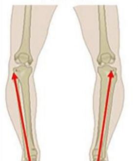 <p>What is shown?</p>