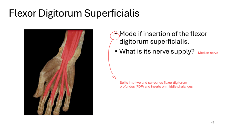 knowt flashcard image