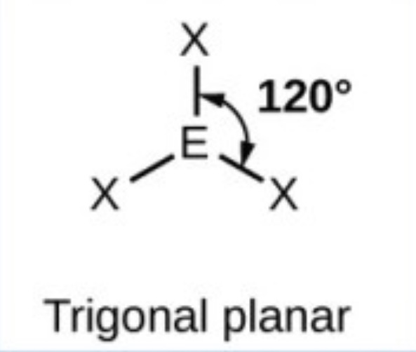 <p>Trigonal planar - 120</p>