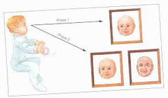 <p>decreasing responsiveness with repeated stimulation. As infants gain familiarity with repeated exposure to a visual stimulus, their interest wanes and they look away sooner</p>