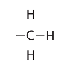 <p>Compound Name: Methylated Group Ex: Methyl Alcohol ALSO: affects the expression of genes, affects the shape and function of sex hormones</p>