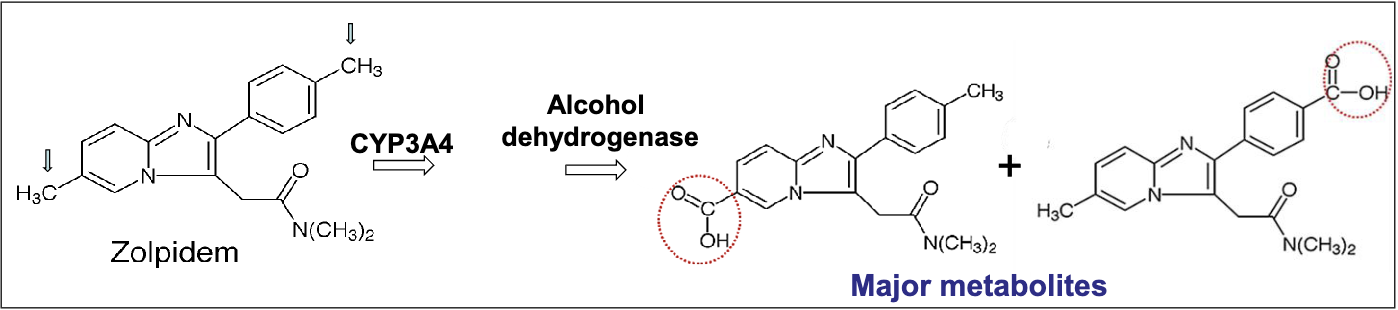 <ul><li><p>higher affinity to type 1 GABA a receptors containing alpha 1 in the brain→ strong hypnotic activity</p></li><li><p>rapid onset dur to rapid absorption through GI due to weak base and high lipophilicity</p></li><li><p>good at sleep maintenance</p></li><li><p>inactive metabolites</p></li></ul><p></p>