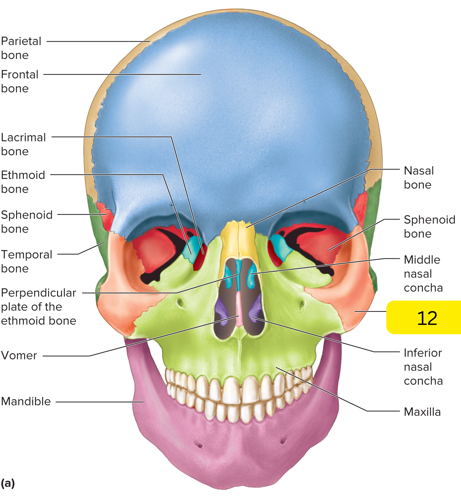 <p>What’s #12?</p>