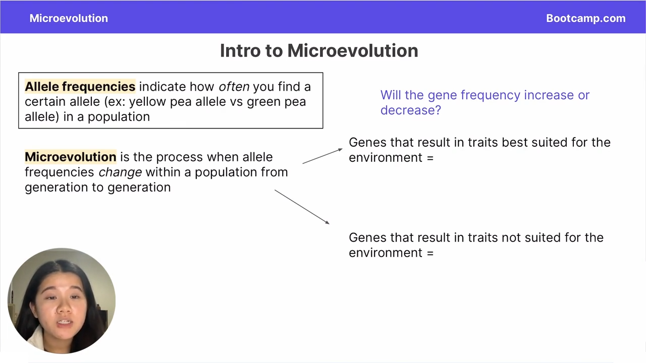 <p>the process in which allele frequencies change within a population from generation to generation </p>
