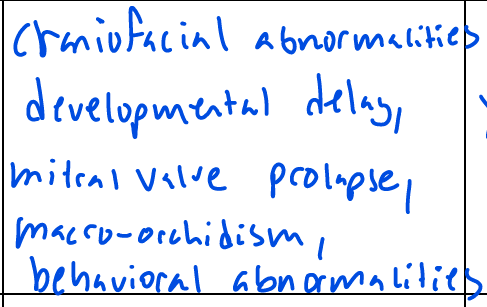 <p>Delayed motor and verbal development, intellectual delay, autism, prominent jaw and forehead, large testes</p>