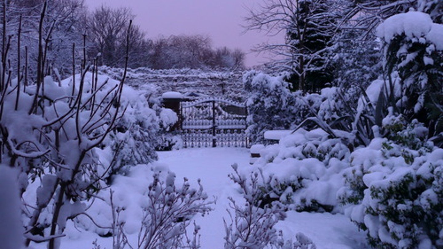 <p>có tuyết</p><p>It's starting to snow. ( Trời bắt đầu có tuyết rơi.)</p>