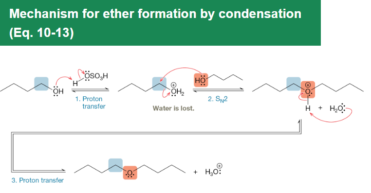 <p>Two alcohols under acidic conditions condense through substitution to form ethers and water without changing the carbon skeleton.</p>
