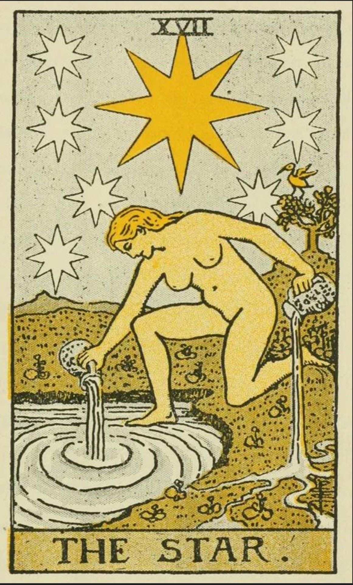 <p><span><span>17. THE STAR</span></span></p>