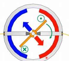 <p>what do the dots and x represent on the diagram</p>