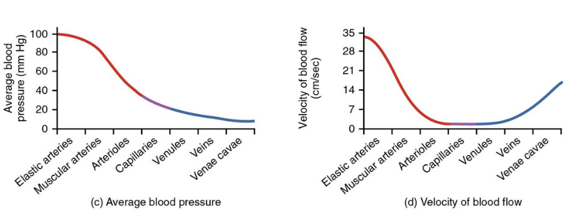 <p>examine these </p>