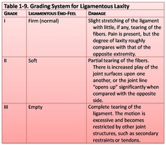 <p>The amount the joint opens and the endpoint during stress testing.</p>