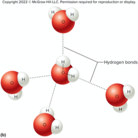 <p>A relatively weak attraction between the slightly positive $$(H)$$ end of one polar molecule and the slightly negative ($$N$$ or $$O$$) end of a nearby polar molecule.</p>