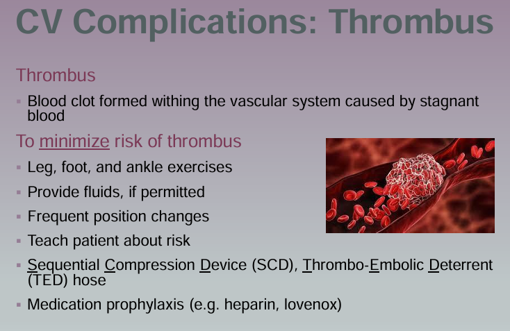 <p><strong>Definition: </strong>Blood clot formed withing the vascular system caused by stagnant blood</p><p><strong>Preventative:</strong></p><ul><li><p>Leg, foot, and ankle exercises</p></li><li><p>Provide fluids if permitted</p></li><li><p>Frequent position changes</p></li><li><p>Educate patient about risk</p></li><li><p>SCD device (compression device)</p></li><li><p>Compression socks</p></li><li><p>Medication prophylaxis (e.g. heparin, lovenox)</p></li></ul><p></p>