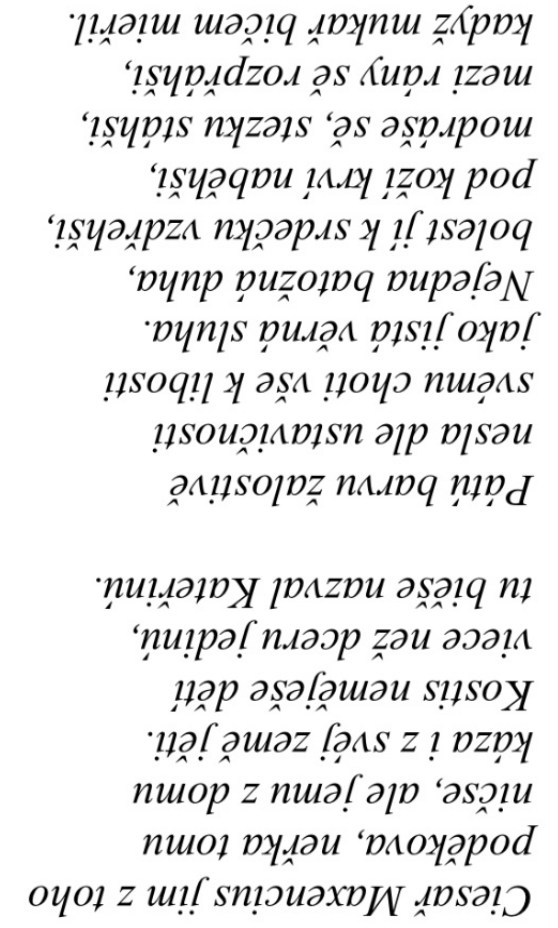 <p></p>