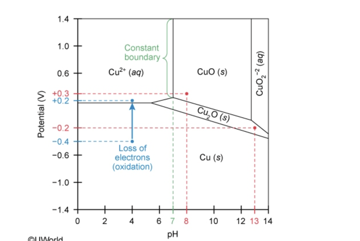 <ul><li><p>boundary lines btwn species domains indicate transition from 1 species to another</p></li><li><p>along boundary btwn aq & precipitating solid species, equilibrium can exist</p></li><li><p>show relationship btwn chemical species as function of given conditions</p></li><li><p>boundary lines btwn domains indicate transition from one species to another, also indicate equilibrium btwn aq & precipitating species</p></li><li><p>boundaries parallel to axis show constant ranges independent of changes</p></li></ul><p></p>