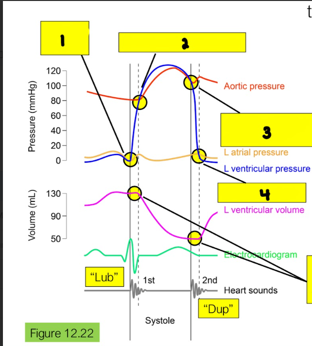 <p>What is happening in box 2?</p>