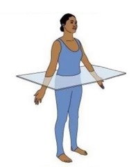 <p>A transverse plane dividing the body into superior and inferior parts.</p>