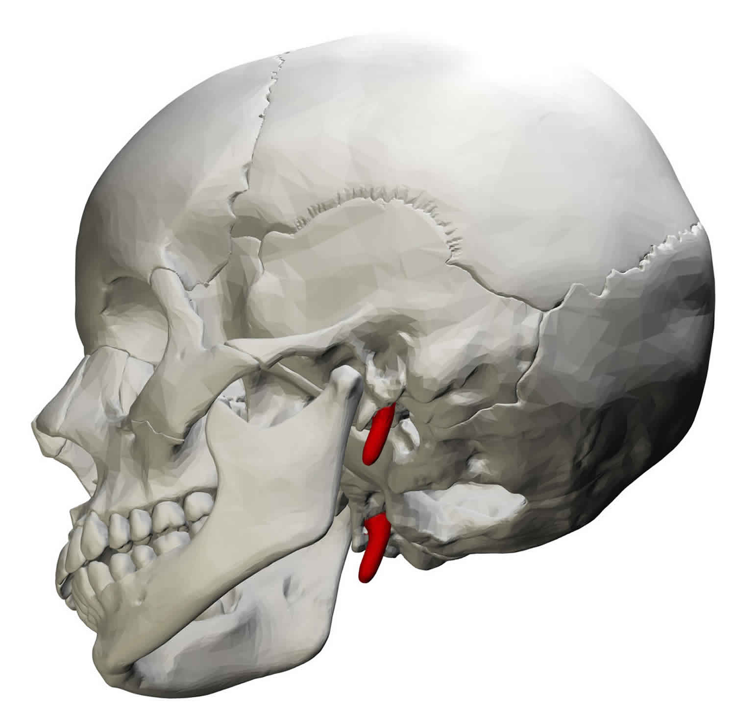 <p>What is this projection?</p>